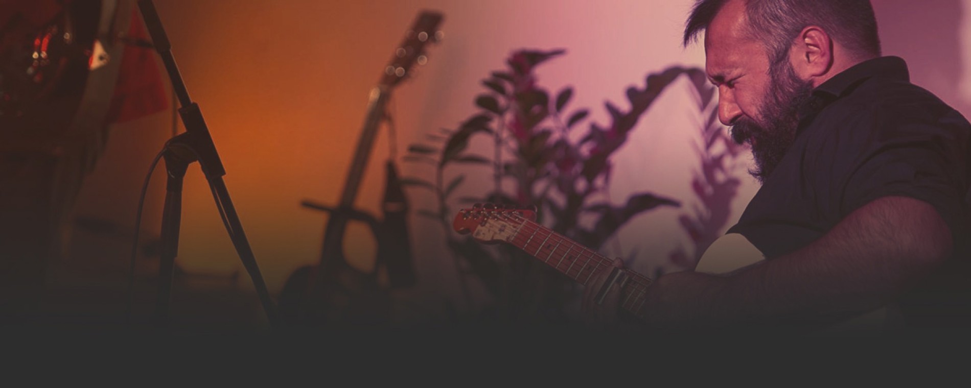 Koncert Terry Lee Hale